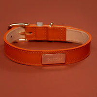 Collare  Double Tone