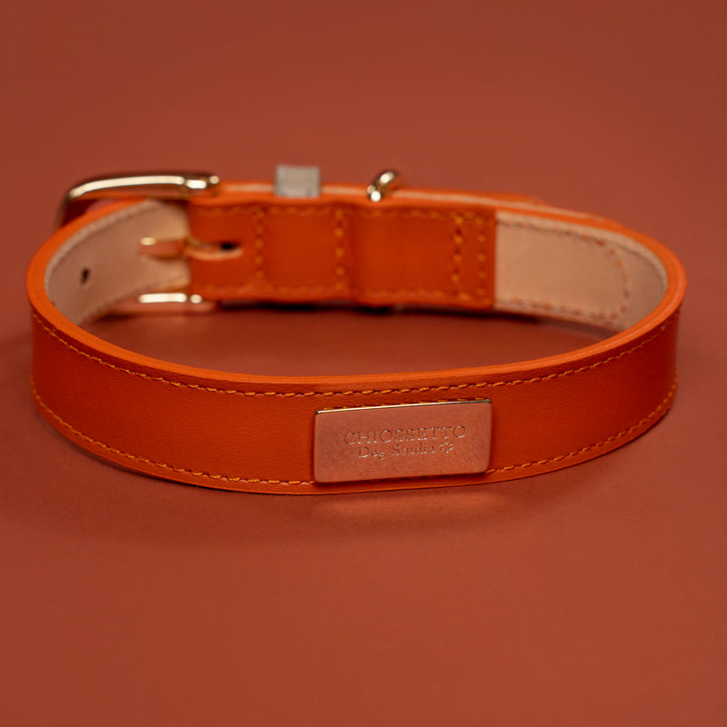 Collare  Double Tone