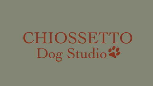 CHIOSSETTO Dog Studio