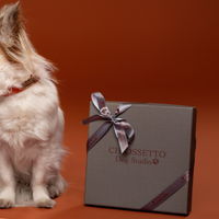 Set Collare + Guinzaglio Double Tone