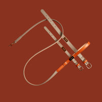 Set Collare + Guinzaglio Double Tone