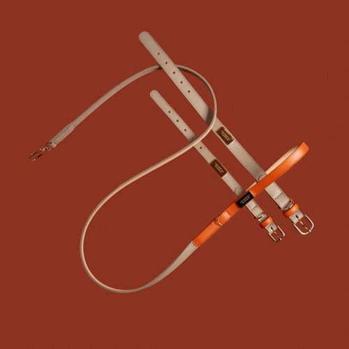 Set Collare + Guinzaglio Double Tone