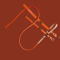 Set Collare + Guinzaglio Double Tone